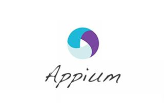 Appium 安卓自动化测试视频教程