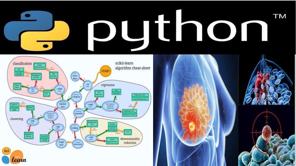 Python机器学习-乳腺癌细胞挖掘【资料完整】