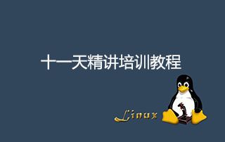 Linux十一天精讲培训教程