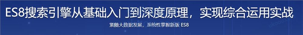 ES8搜索引擎从基础入门到深度原理，实现综合运用实战「网盘无密」