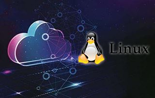 Linux云计算集群架构高薪就业视频教程