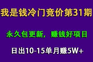 我是钱第31期网授课程网授课百度冷门竞价（完结）