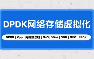 零声-DPDK网络存储虚拟化开发（vpp/OvS/DDos/SDN/NFV/SPDK）