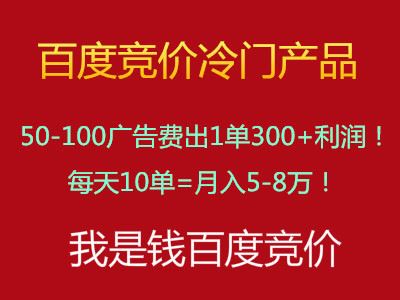 2019我是钱第29期网授课百度冷门竞价产品教程