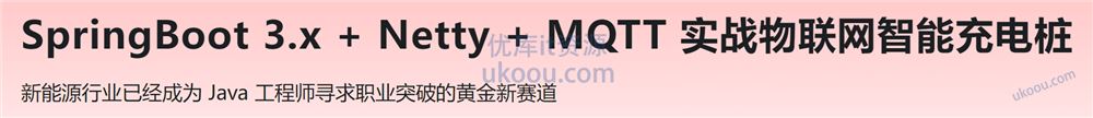 SpringBoot 3.x + Netty + MQTT 实战物联网智能充电桩「已完结」