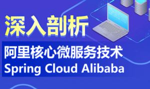 深入剖析阿里核心微服务技术Spring Cloud Alibab