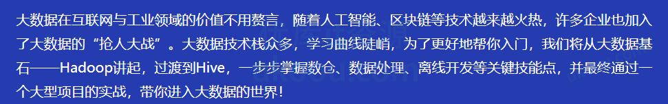 轻松入门大数据 一站式完成核心能力构建「高清完结」