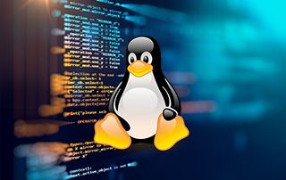 Linux系统项目管理实战视频教程