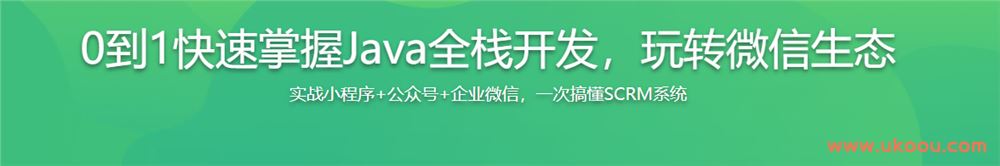 0到1快速掌握Java全栈开发，玩转微信生态「完结无密」