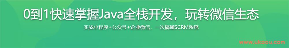 0到1快速掌握Java全栈开发，玩转微信生态「完结无密」