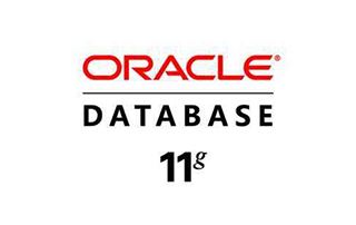 Oracle 11G R2 入门+实战培训视频课程