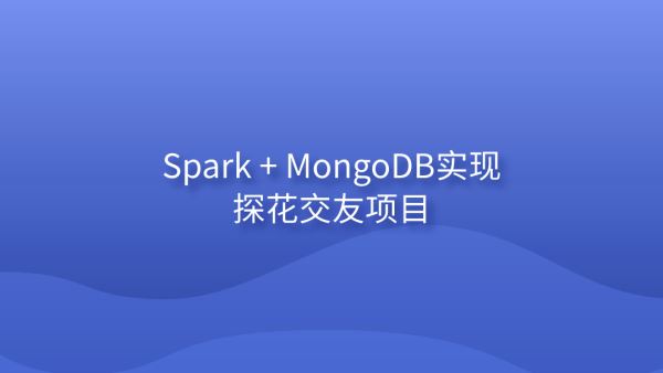 Spark + MongoDB实现探花交友项目