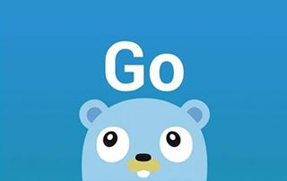 Golang 流媒体实战课程