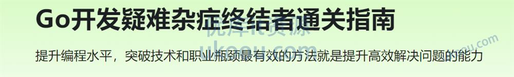 Go开发疑难杂症终结者通关指南「已完结」
